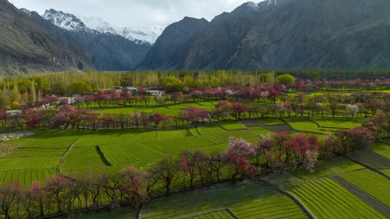 Best Time to Visit Gilgit Baltistan, Hunza & Skardu Valley: A Complete Seasonal Guide Best Time to Visit Gilgit Baltistan, Hunza & Skardu Valley: A Complete Seasonal Guide