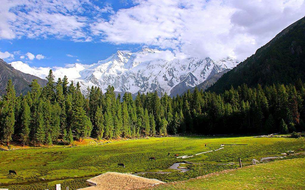 Discover Gilgit: Culture, Traditions, and Famous Attractions Discover Gilgit: Culture, Traditions, and Famous Attractions